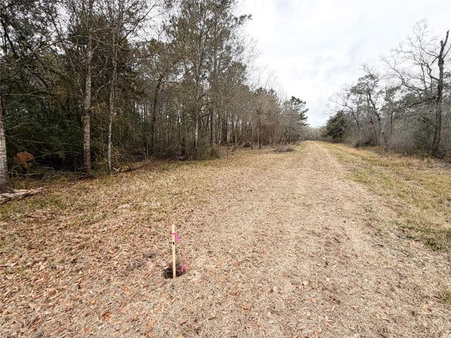 00 Eunice Pvt, Alvin, TX 77511