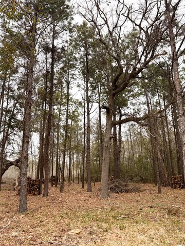 00 Eunice Pvt, Alvin, TX 77511