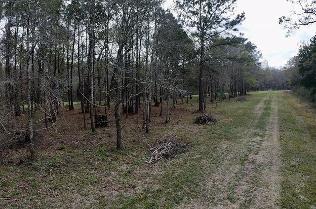 00 Eunice Pvt, Alvin, TX 77511