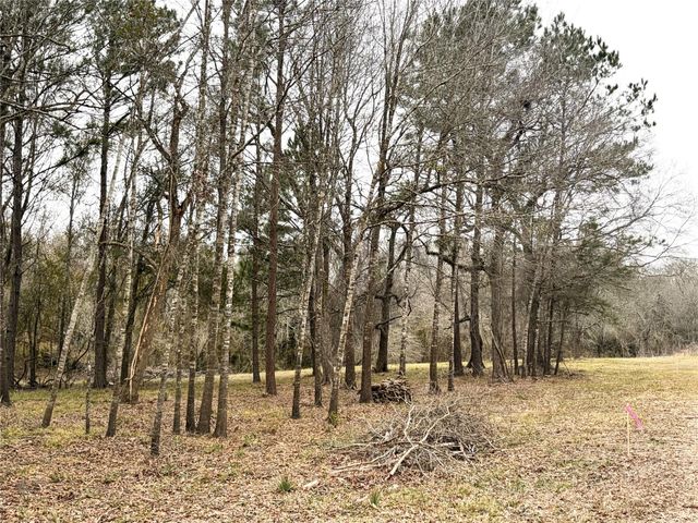 00 Eunice Pvt, Alvin, TX 77511