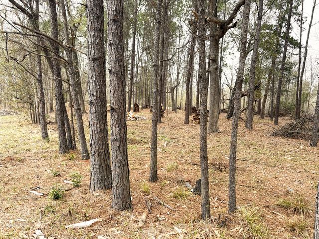 00 Eunice Pvt, Alvin, TX 77511