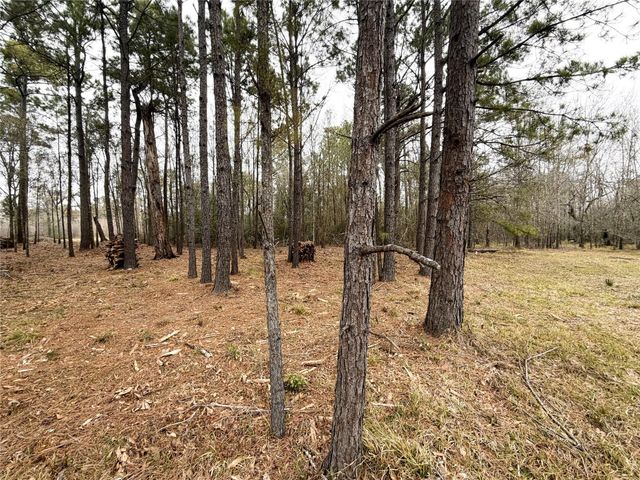 00 Eunice Pvt, Alvin, TX 77511