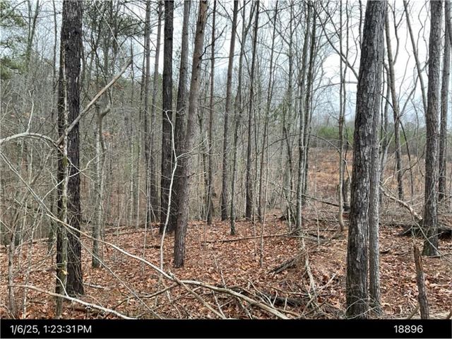 0 US HWY 27, Bremen, GA 30113