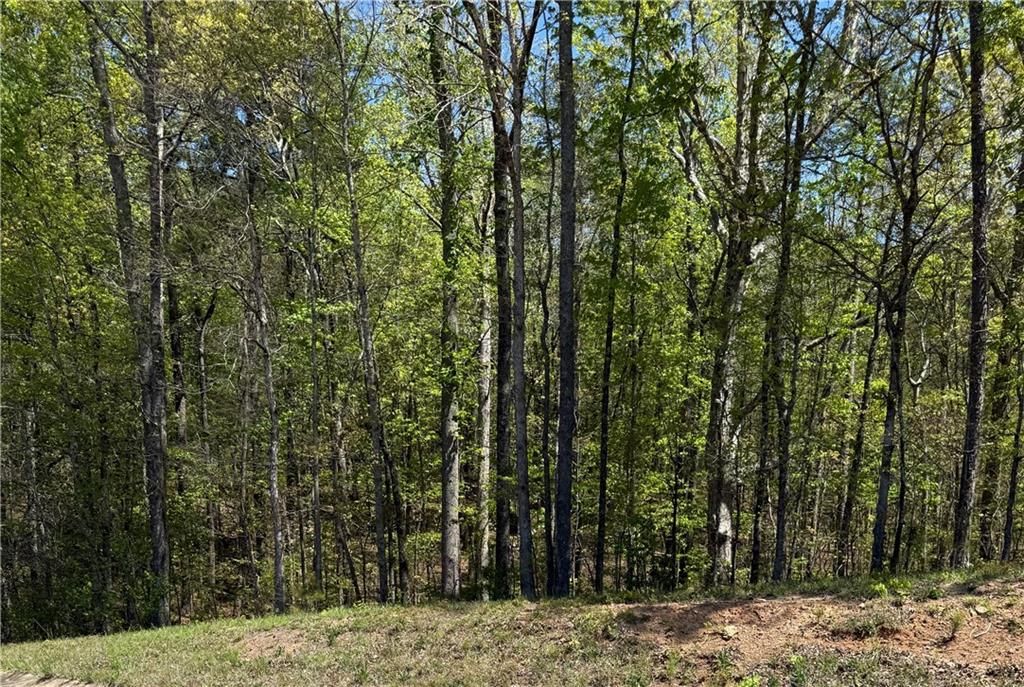 0 US HWY 27, Bremen, GA 30113