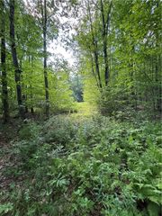 172 Aurora Drive, Norwich-town, NY 13815