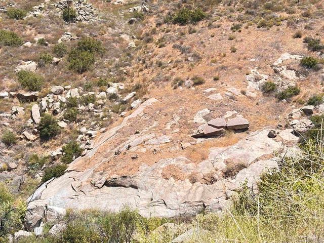 222444 Hwy 94, Dulzura, CA 91917