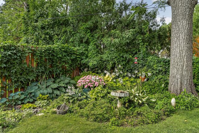 317 15th Avenue SW, Rochester, MN 55902