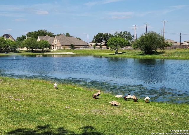 14411 High Plains Dr, San Antonio, TX 78254