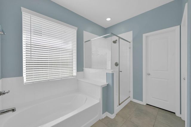 1308 Mainland Shores Lane, Montgomery, TX 77316