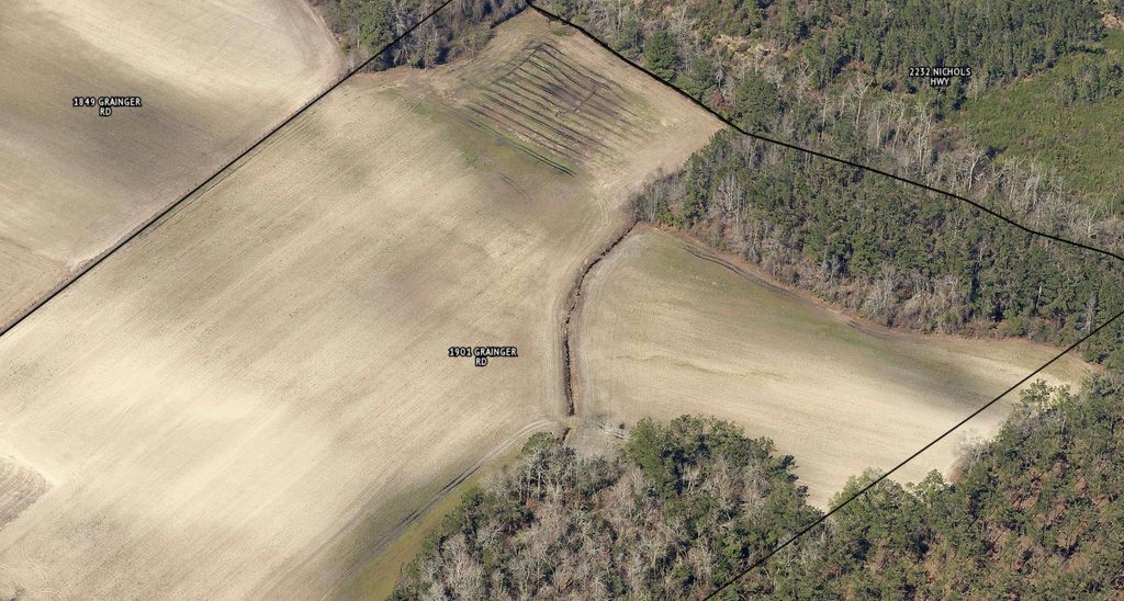 1901 Grainger Rd., Aynor, SC 29511 — photo 2