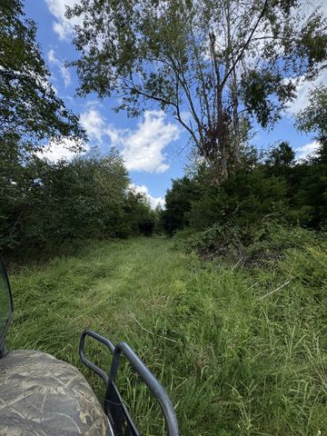 216 Running Meadows Rd, Portland, TN 37148