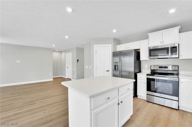 113 W Spring Drive, Elyria, OH 44035