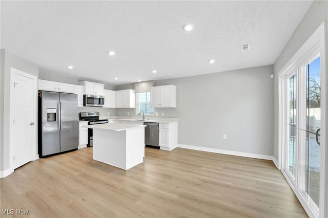 113 W Spring Drive, Elyria, OH 44035