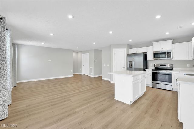 113 W Spring Drive, Elyria, OH 44035