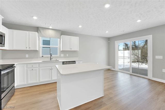 113 W Spring Drive, Elyria, OH 44035