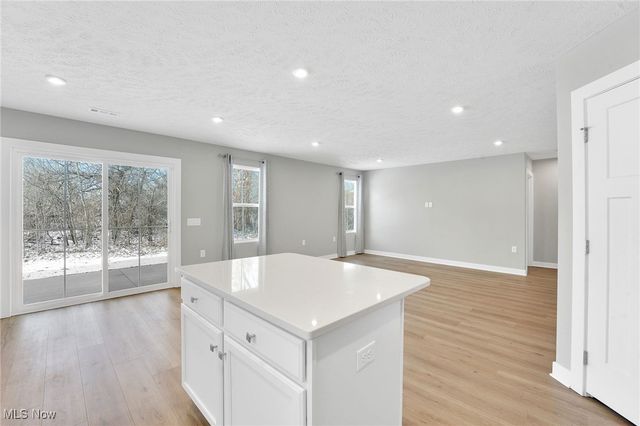 113 W Spring Drive, Elyria, OH 44035