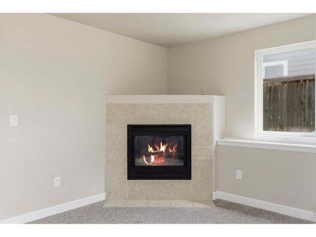 593 Lavastone Ave, Loveland, CO 80537
