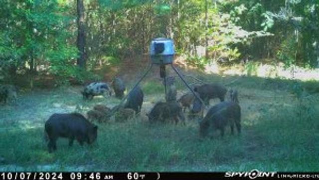 637 County Road 4420, Winnsboro, TX 75494