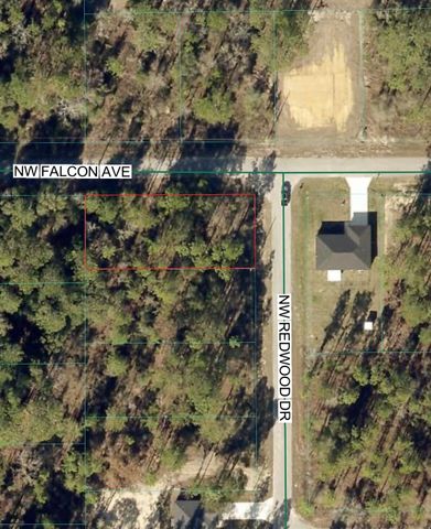 Tbd NW Redwood Drive, Dunnellon, FL 34431