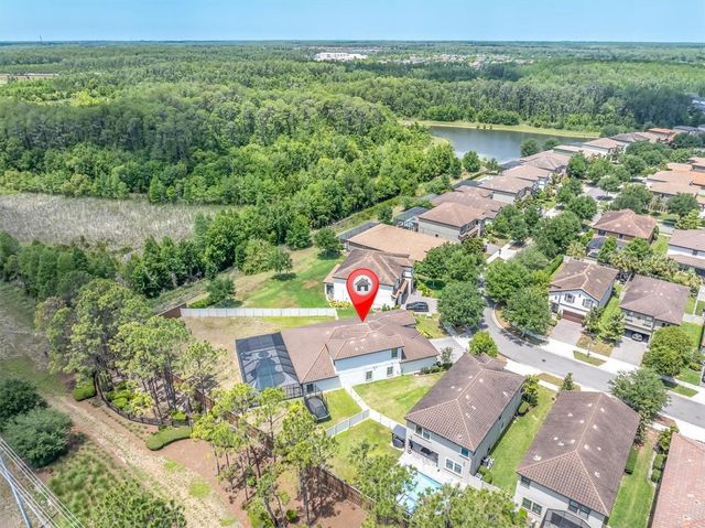 12858 BURNS DRIVE, Odessa, FL 33556