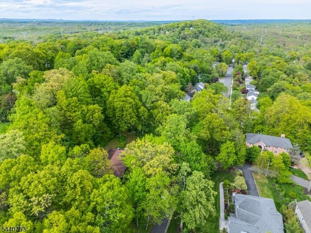 46 Mountain Ave, Chatham Twp., NJ 07928
