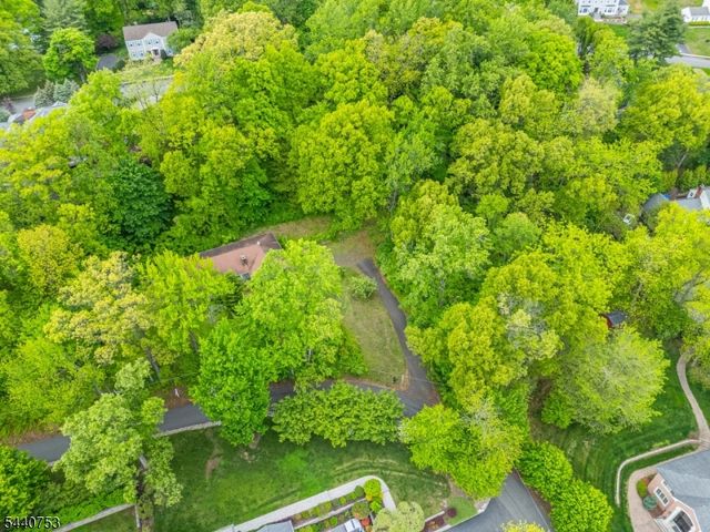 46 Mountain Ave, Chatham Twp., NJ 07928