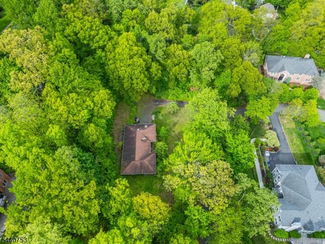 46 Mountain Ave, Chatham Twp., NJ 07928
