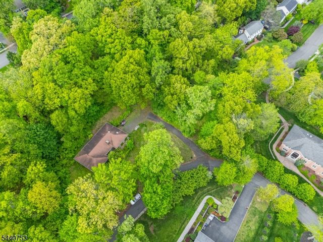 46 Mountain Ave, Chatham Twp., NJ 07928