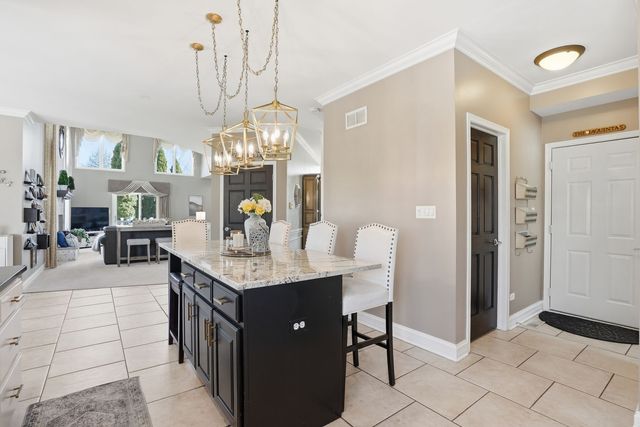 12959 Silver Fox Drive, Lemont, IL 60439