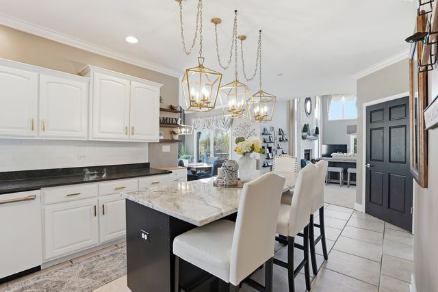 12959 Silver Fox Drive, Lemont, IL 60439