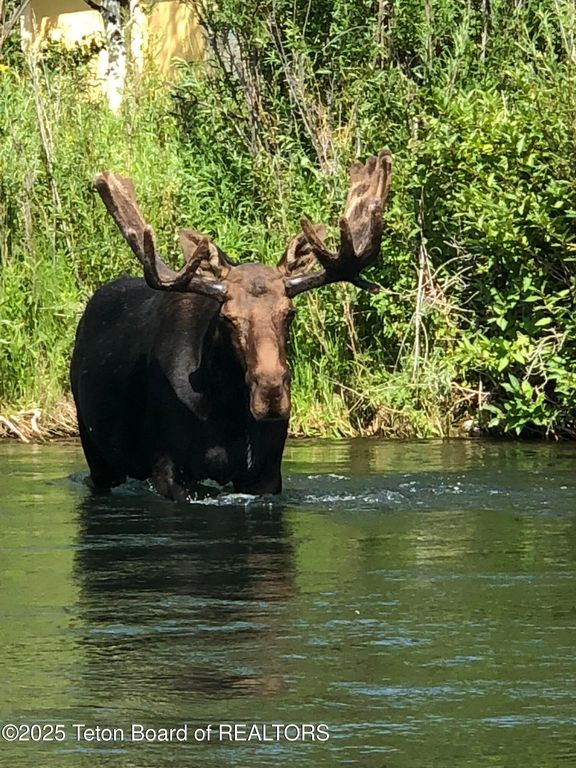 2945 N HUNT Lane, Wilson, WY 83014 photo 42