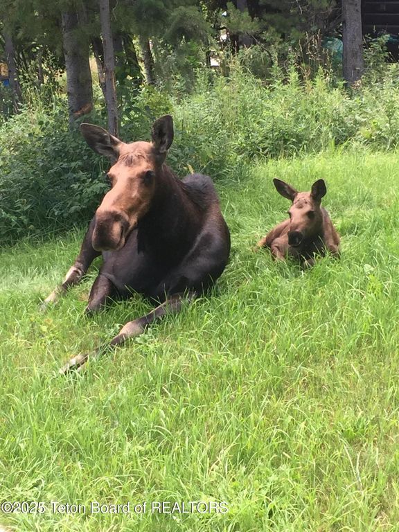 2945 N HUNT Lane, Wilson, WY 83014 photo 65