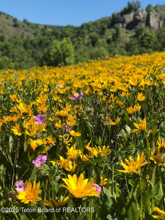 2945 N HUNT Lane, Wilson, WY 83014 photo 67