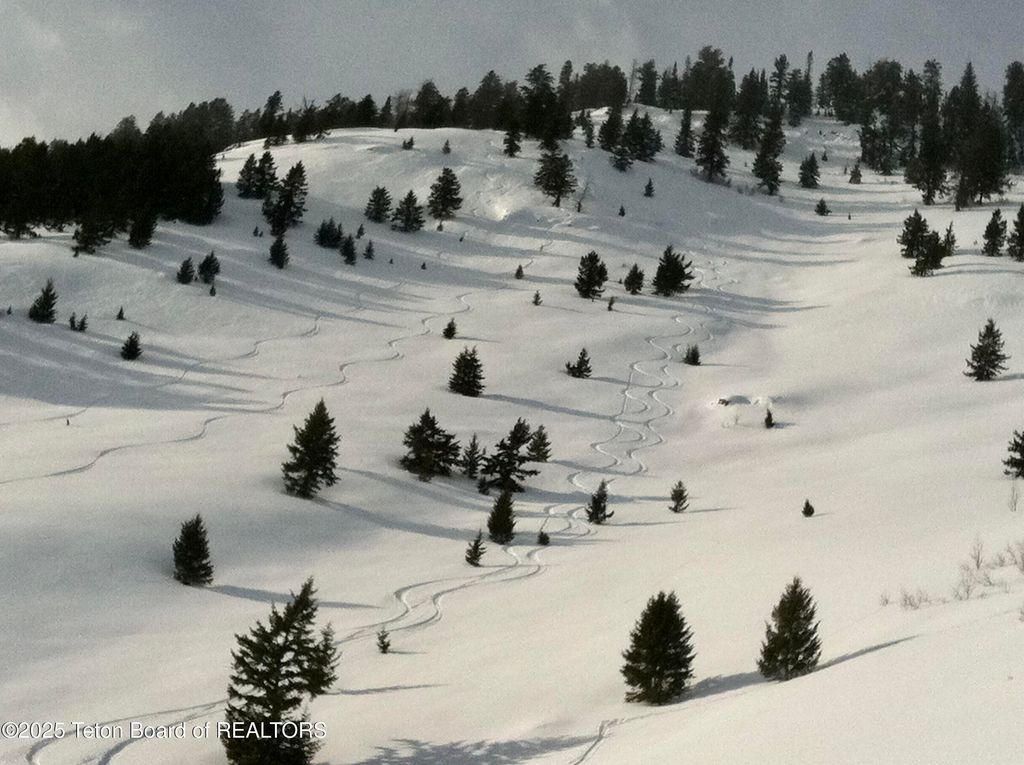 2945 N HUNT Lane, Wilson, WY 83014 photo 68