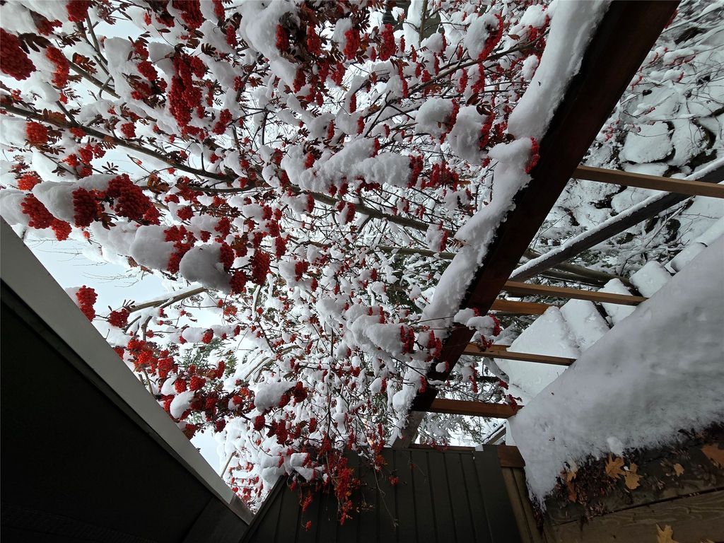 Image 16 of property listing at 318 6th Street W, Whitefish, MT 59937