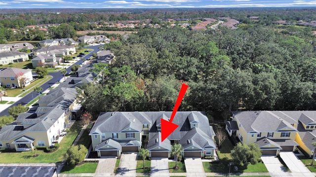 20119 WEEPING LAUREL PLACE, Tampa, FL 33647