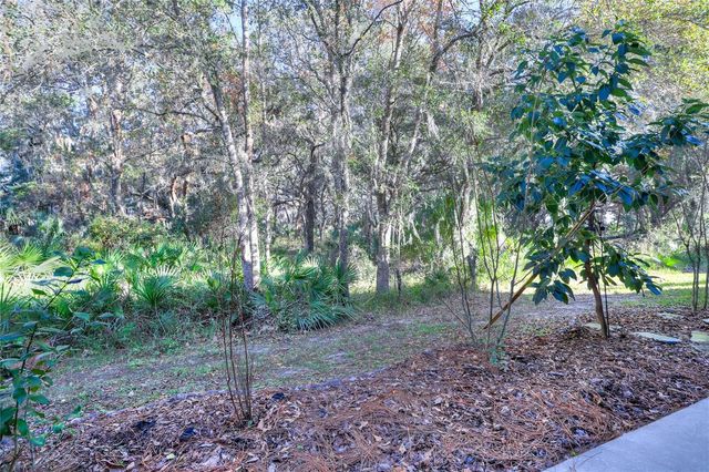 20119 WEEPING LAUREL PLACE, Tampa, FL 33647