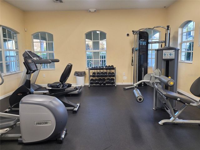 20119 WEEPING LAUREL PLACE, Tampa, FL 33647