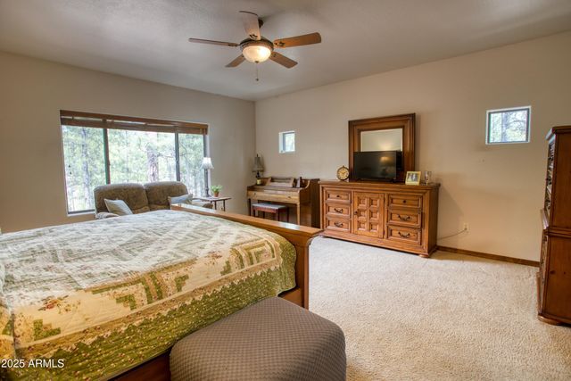 520 N SILVERLEAF Lane, Show Low, AZ 85901