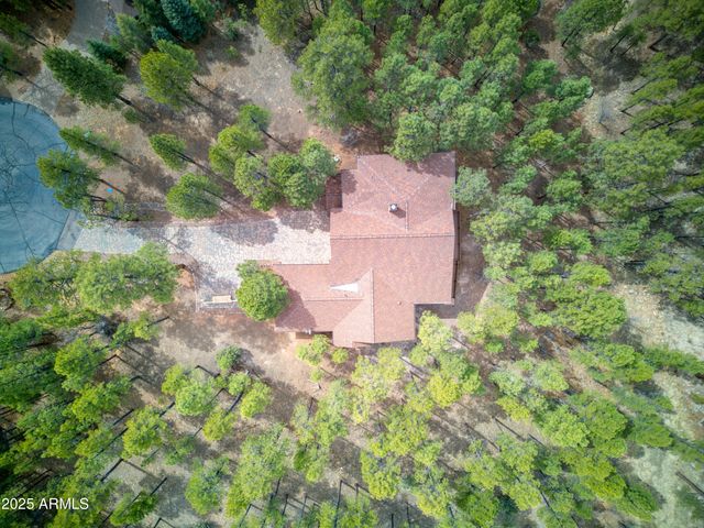 520 N SILVERLEAF Lane, Show Low, AZ 85901