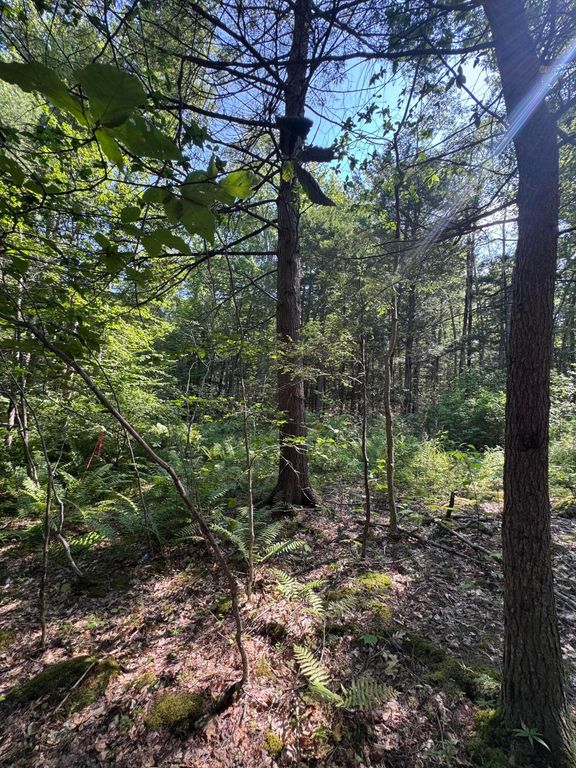 L24 Poplar Ridge Drive, Falmouth, ME 04105 — photo 2