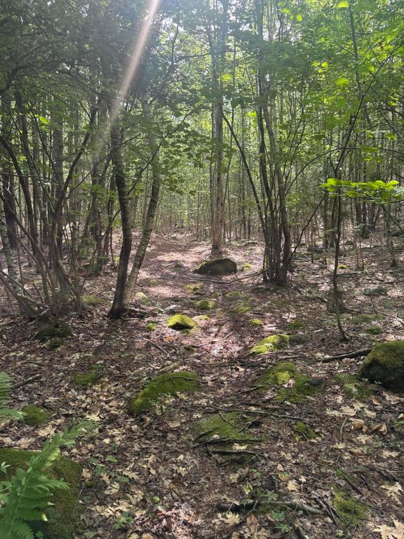 L24 Poplar Ridge Drive, Falmouth, ME 04105 — photo 3