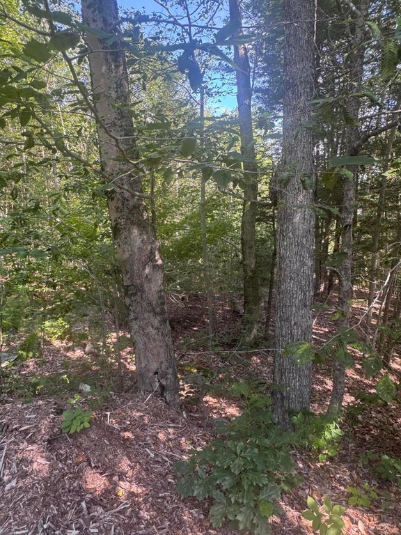 L24 Poplar Ridge Drive, Falmouth, ME 04105 — photo 5