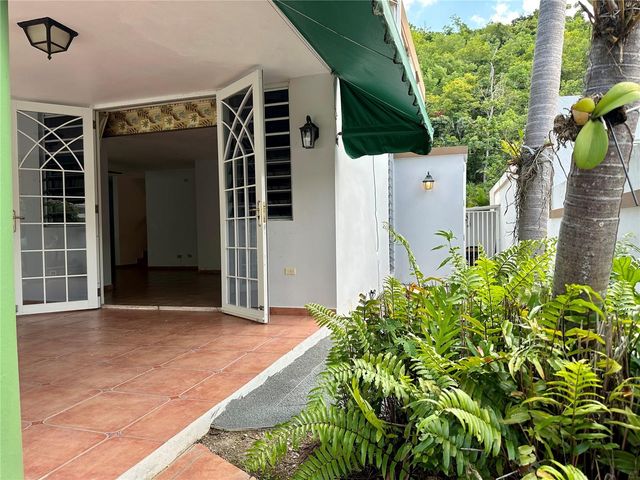 AN-81 VÍA ANTILLANA, Trujillo Alto, PR 00976