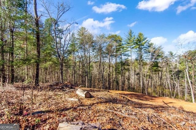 3.12 ACR Eric Lane, Ellijay, GA 30540