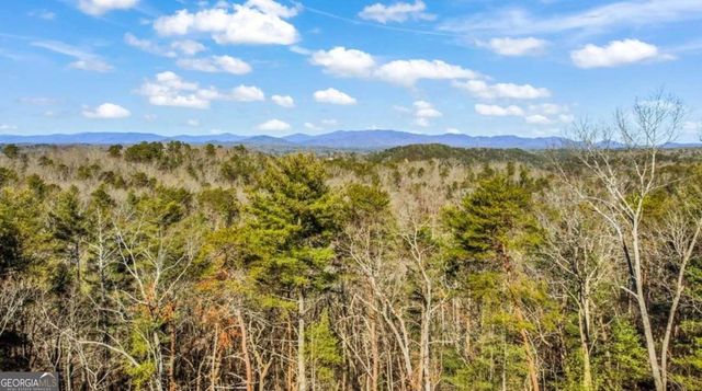 3.12 ACR Eric Lane, Ellijay, GA 30540
