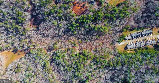 3.12 ACR Eric Lane, Ellijay, GA 30540