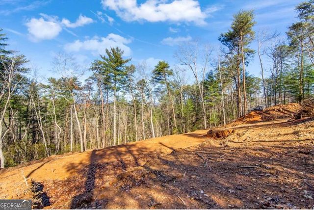 3.12 ACR Eric Lane, Ellijay, GA 30540