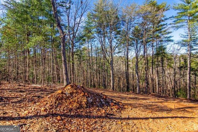 3.12 ACR Eric Lane, Ellijay, GA 30540
