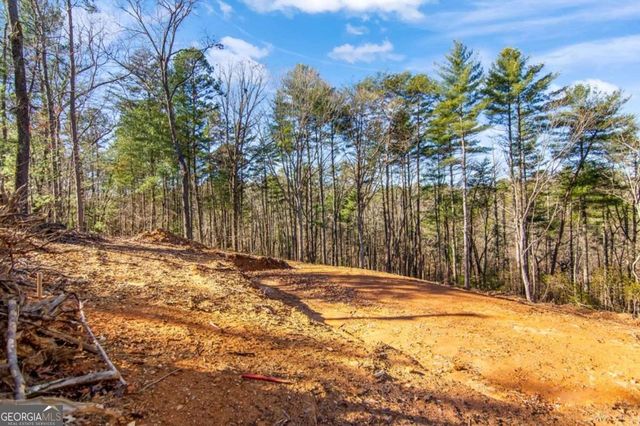 3.12 ACR Eric Lane, Ellijay, GA 30540